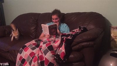 شاهد رد فعل ثعلب لجذب انتباه مالكته (فيديو وصور)