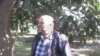 مدير «زراعة الإسماعيلية» يتفقد مزارع المانجو (صور)