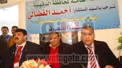 بالفيديو ... «الفضالى» : الدستور سبب انقسام الشعب المصرى