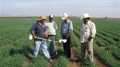 الغنام يطالب الفلاحين بثورة لإقالة رئيس البنك الزراعى