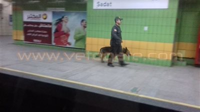 بالصور.. الكلاب البوليسية تمشط أرصفة «متروالسادات» بعد إعادة تشغيلها