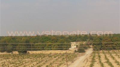 منتفعون بشرق القناة يشتكون من قرار تجريف أراضيهم الزراعية