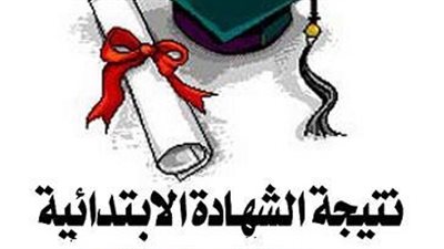 نتيجة ابتدائية القاهرة 2014