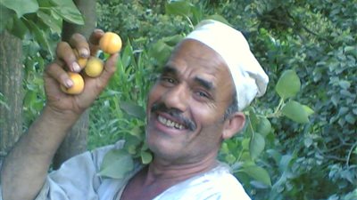 استقالة 5 أعضاء بنقابية مجمع ألومنيوم نجع حمادى