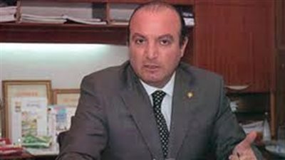 «الصناعات الغذائية»: مصر بحاجة للاستثمار الخليجي بقوة عقب الانتخابات الرئاسية