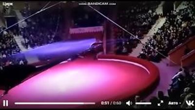 لحظة سقوط لاعبة جمباز أثناء قفزة مركبة (فيديو)