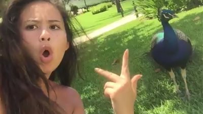 أقوى هجمات الطيور على أشخاص حاولوا تصويرها (فيديو)