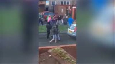 نزاع عائلي يتحول إلى شجار بمضارب البيسبول و«الشواكيش» (فيديو)