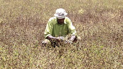 بالفيديو.. السيسي: مشاكل الفلاح تتطلب إعادة النظر في شبكة 