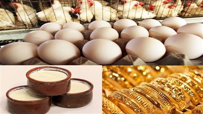 ارتفاع أسعار الذهب.. وتراجع في الدواجن والبيض..وشركات الزبادي تبدأ في رفع السعر