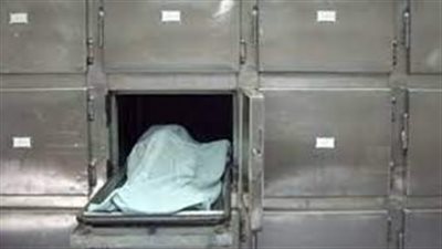 كشفتها الكلاب الضالة.. تحريات مكثفة لحل لغز العثور على جثة طفل بصندوق قمامة في مصر القديمة