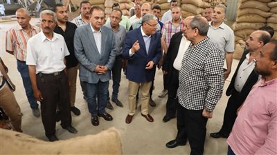 توريد نصف مليون طن قمح إلى شون وصوامع المنيا | صور 