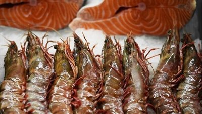  فاتورة تثير أزمة.. طبق جمبري ومشروب بـ 425 يورو