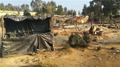 مسلحون يعتدون جنسيا على 8 فتيات في جنوب أفريقيا