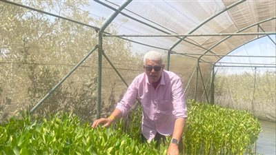  أمين اتحاد الزراعيين الأفارقة: حديقة دولية للدول المشاركة في قمة شرم الشيخ بأشجار المانجروف