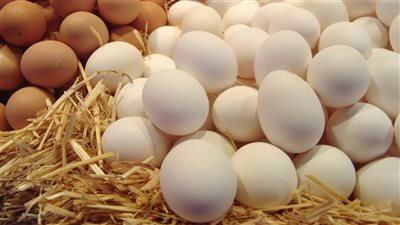 غرامة نصف مليار جنيه.. حماية المنافسة: دعوى قضائية ضد 4 من سماسرة البيض