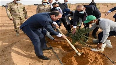 كل ما تريد معرفته عن جهود المبادرة الرئاسية لزراعة 2،5 مليون نخلة بالوادي الجديد