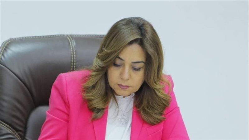 محافظ دمياط