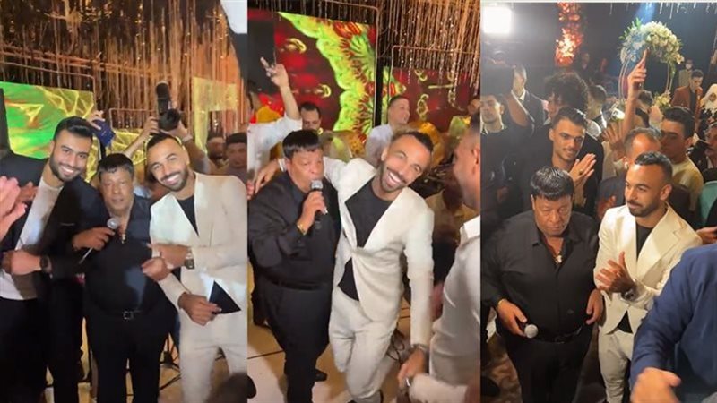 حسام حسن وأفشة في
