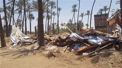 إزالة حالة تعد على أرض زراعية في الأقصر