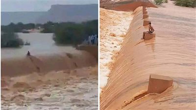 نهاية سعيدة لطفل حاصرته السيول يومًا كاملًا | فيديو