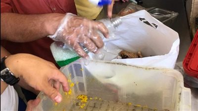 إعدام 97 كيلو أغذية تالفة فى حملة بشمال سيناء