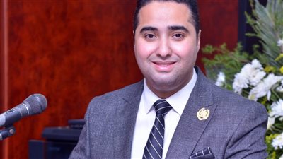 د. محمد مهران: ماذا بعد لجوء مصر لمجلس الأمن الدولي  