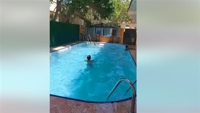 الأولوية للأيتام.. بيت سعيد مصيف بالمجان يستقبل أول فوج لغير القادرين في الإسكندرية |فيديو