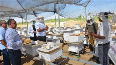 محافظ الوادي الجديد يتفقد مشروع إنتاج العسل الطبيعي