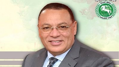 محافظة الشرقية: بحث 98% من شكاوى المواطنين 