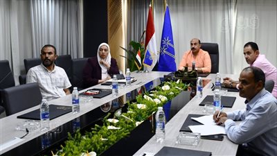 عبر الفيديو كونفرانس.. اجتماع محافظ أسوان ورئيس هيئة تنمية الصعيد |صور