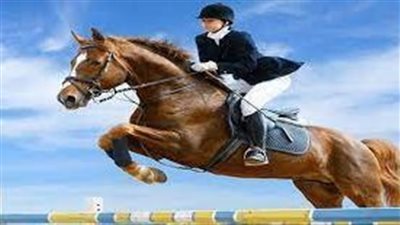 تفسير حلم ركوب الحصان في المنام وعلاقته بالتخلص من العقبات