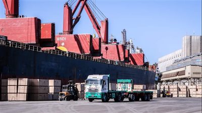 تداول ٣١ سفينة بضائع متنوعة بميناء دمياط 