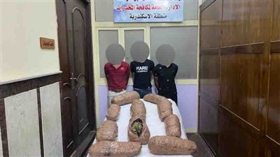 حملة أمنية لضبط العناصر الاجرامية من حائزي ومتجري المواد المخدرة