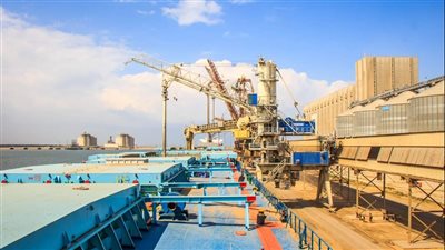 تداول 29 سفينة بضائع متنوعة داخل ميناء دمياط 