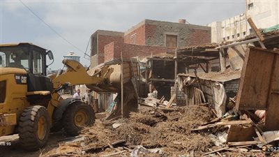 حملات مكثفة لإزالة التعديات على الأراضي الزراعية في 4 مراكز بالدقهلية 