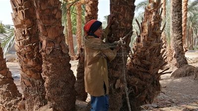 فتاة لا تعرف المستحيل.. يوميات 