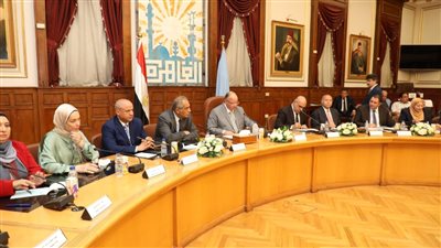 القاهرة: تشغيل 30 كشكا أسفل محور شينزو آبى 