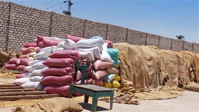 توريد أكثر من 110 آلاف طن قمح في سوهاج 