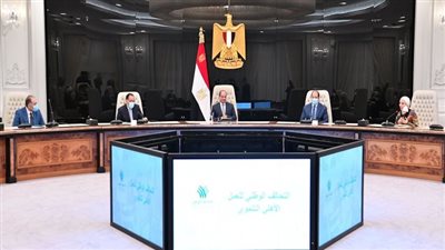 تفاصيل اجتماع الرئيس السيسي مع أعضاء التحالف الوطني للعمل الأهلي والتنموي.. صور