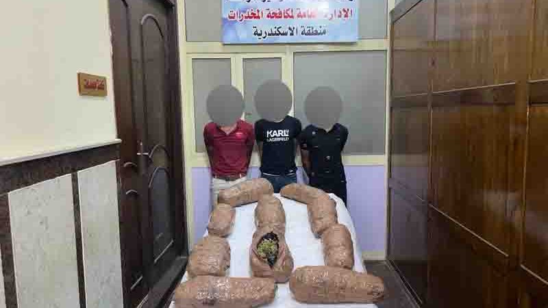 مخدرات _ المضبوطات