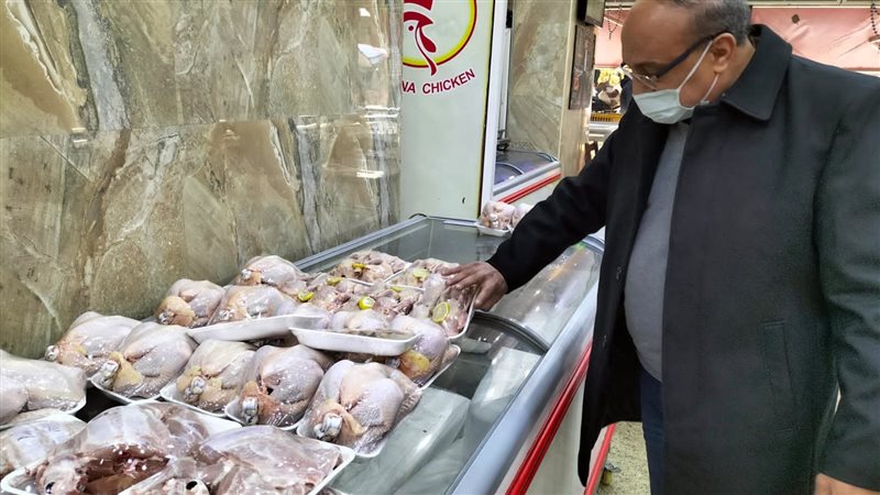 تموين الإسكندرية