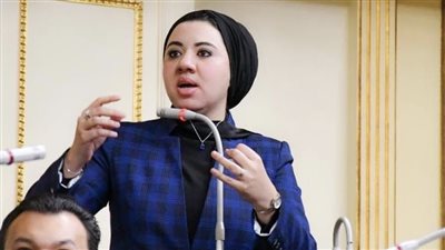 أميرة صابر تتقدم باستقالتها من عضوية النواب للترشح في انتخابات الشيوخ