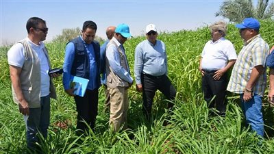 محافظ الوادي الجديد يتفقد مشروع المدارس الحقلية بقرية ناصر الثورة بالخارجة