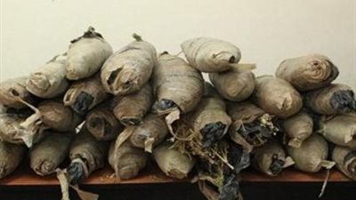 حبس مسجل خطر لإتجاره بمخدر البانجو بحلوان