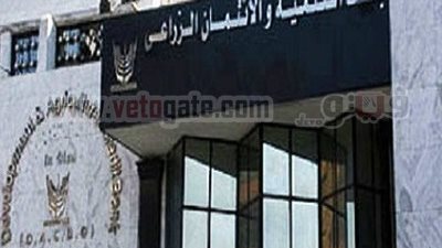 لليوم الثاني .. وقفة للعاملين ببنك التنمية  لطرد