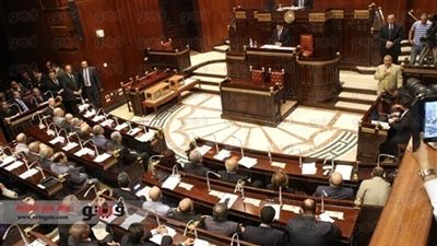 حماية المواطنين وحفظ ممتلكاتهم من أهداف لجنة الخمسين