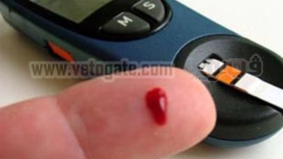 الصحة: 7.3 مليون مريض بالسكر