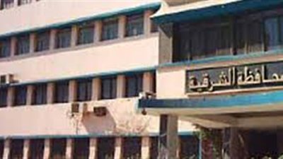 جولات ميدانية لـ«نور الشرقية» للدعوة للتصويت بـ«نعم» على الدستور