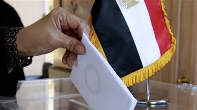 سفير مصر بالإمارات: نسبة المشاركة في الاستفتاء بلغت 30%